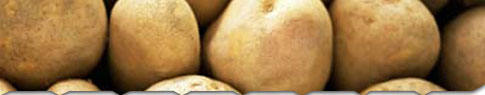 Proven Solutions for Sprout and Quality Control